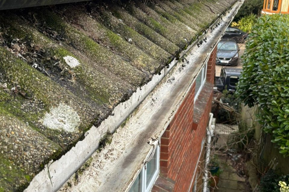 Gutter cleaning